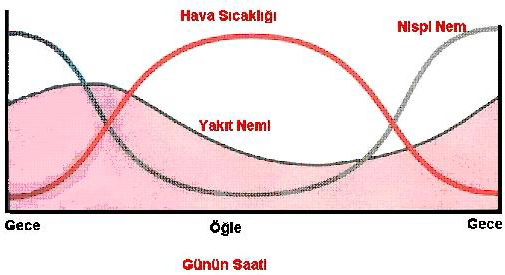 Orman Yangınları ve Meteoroloji