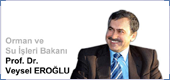 Prof. Dr. Veysel Eroğlu