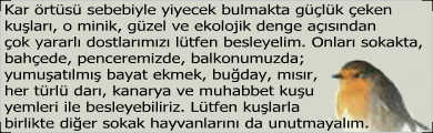 Kuşları Besleyelim