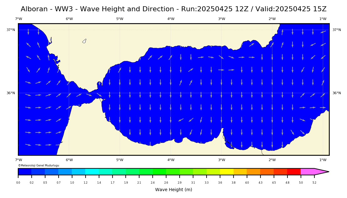 ww3 Harita: Wave Direction and Height