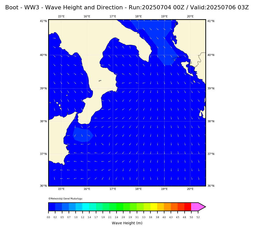 ww3 Harita: Wave Direction and Height