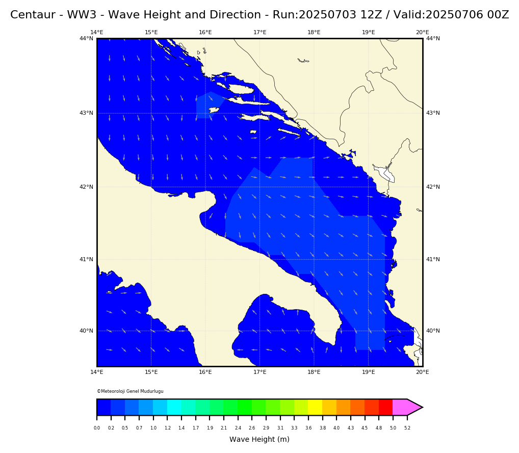 ww3 Harita: Wave Direction and Height