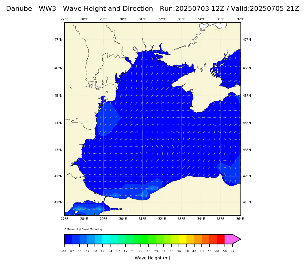 ww3 Harita: Wave Direction and Height