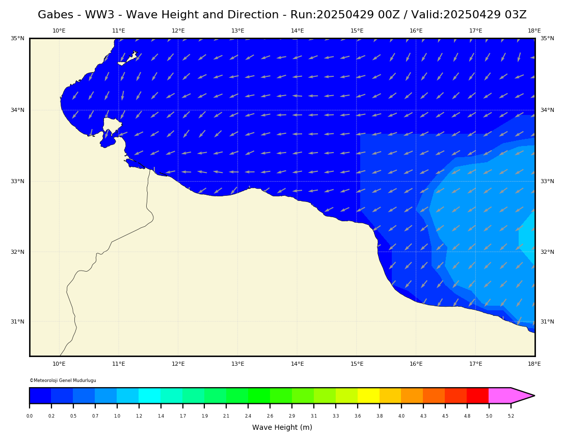 ww3 Harita: Wave Direction and Height