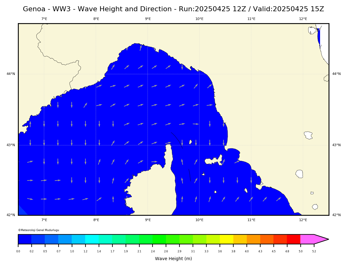 ww3 Harita: Wave Direction and Height