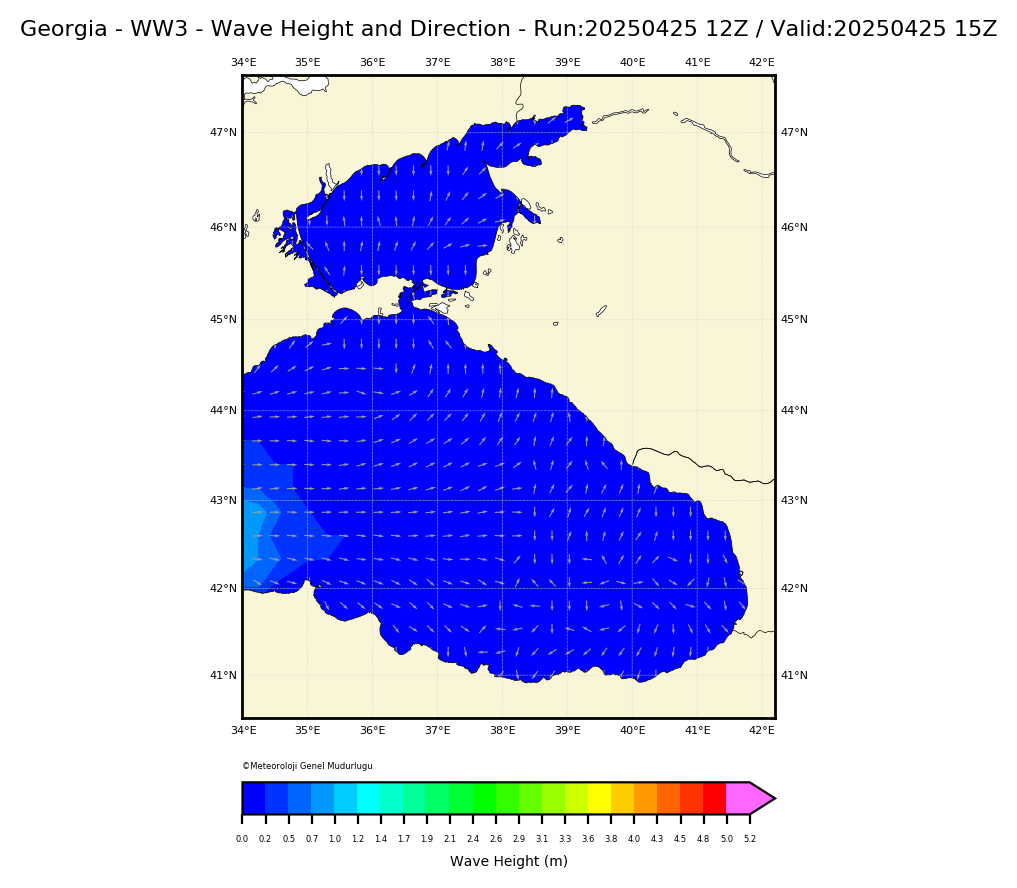 ww3 Harita: Wave Direction and Height