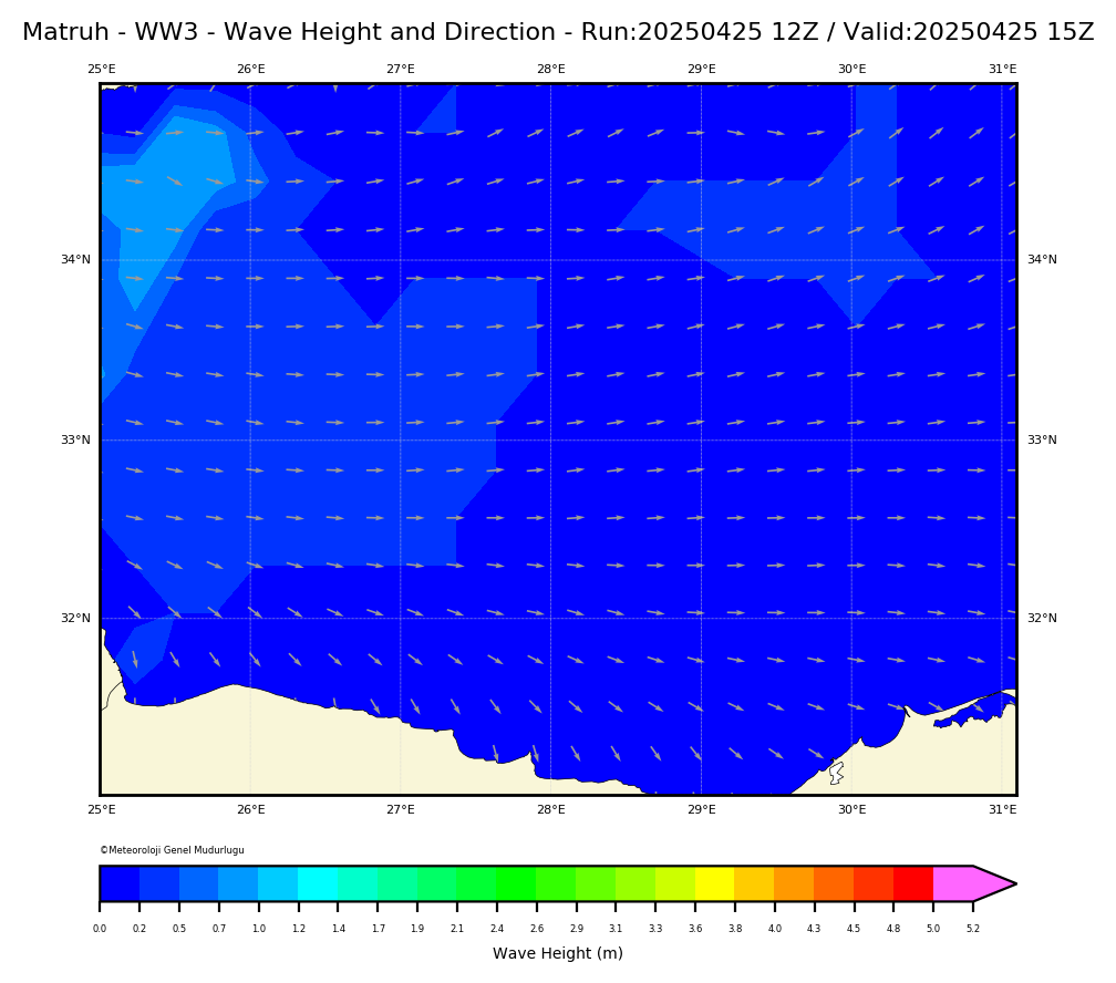 ww3 Harita: Wave Direction and Height