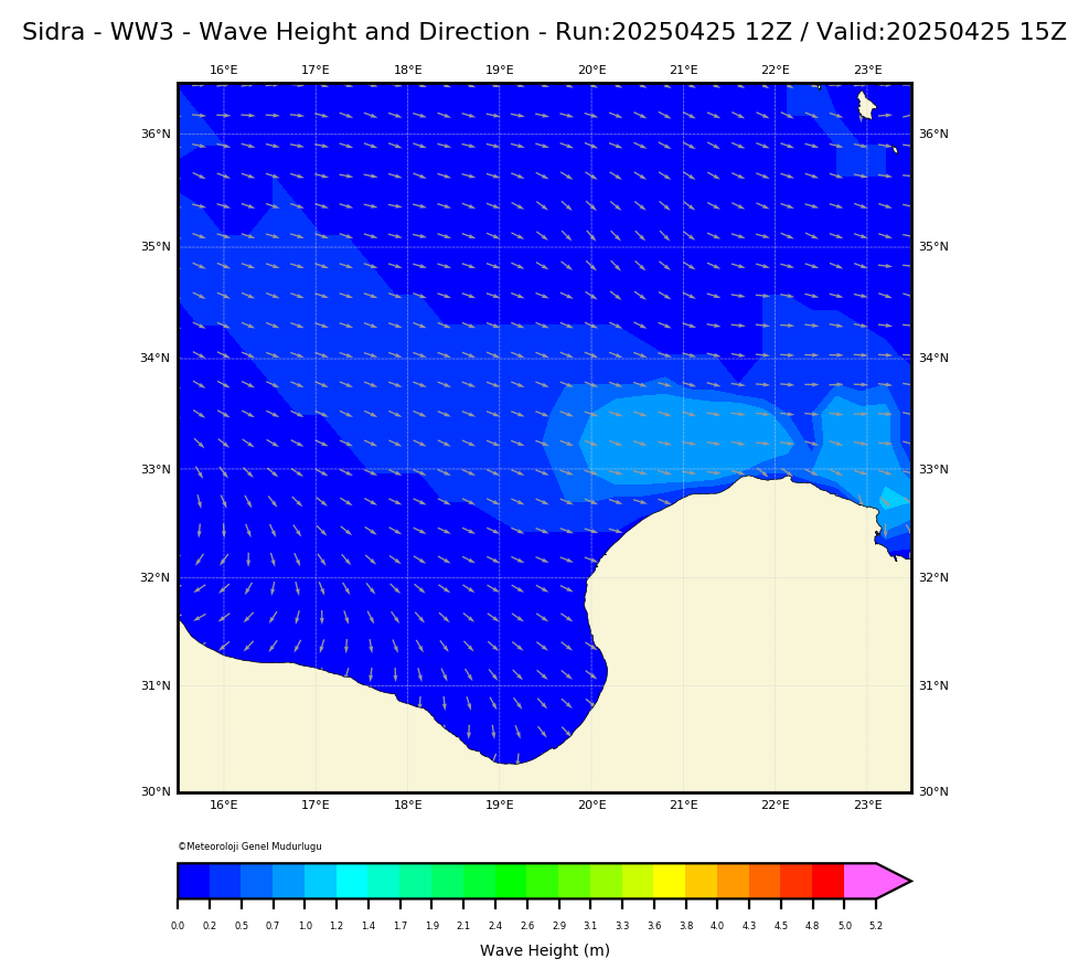ww3 Harita: Wave Direction and Height