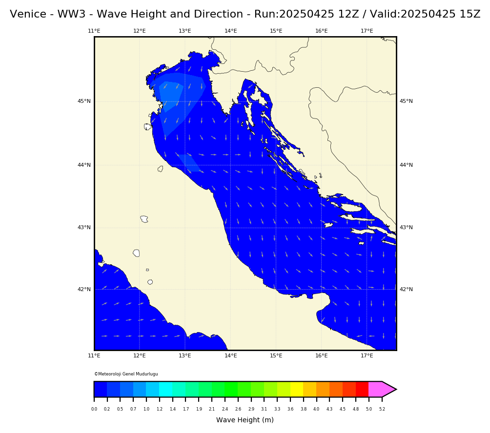 ww3 Harita: Wave Direction and Height