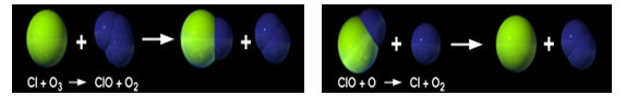 Klor (Cl) atomunun ozon molekülünü parçalama ve yok etme mekanizması 