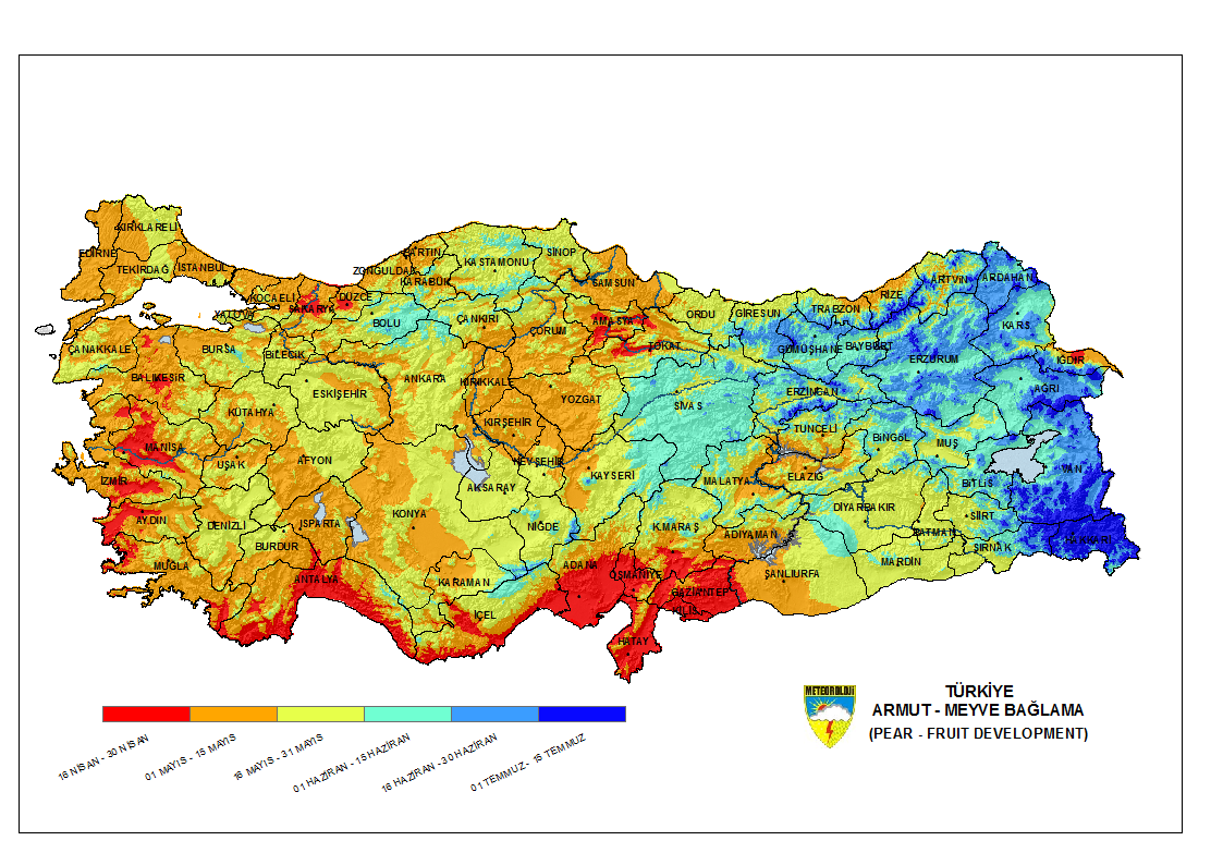 Armut Meyve Teşekkülü