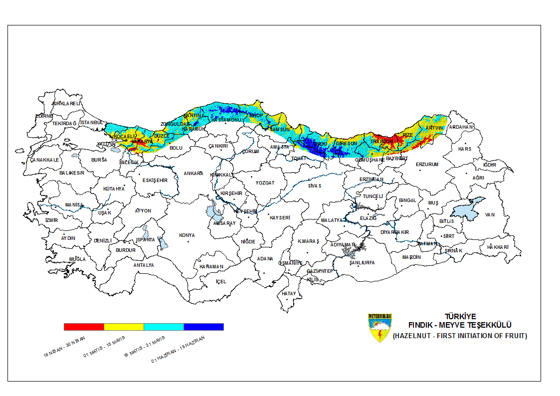 Fındık Meyve Teşekkülü