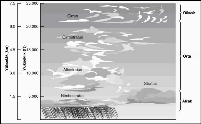 Meteoroloji