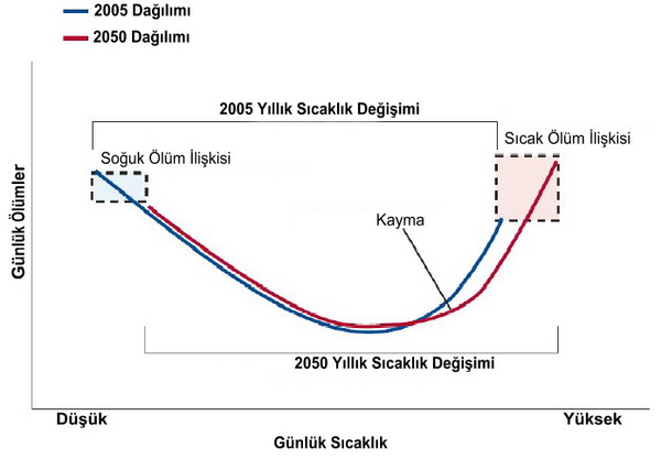 Günlük sıcaklık ve günlük ölüm oranları projeksiyonu