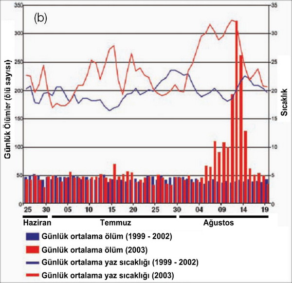 Ağustos 2003 tarihleri arasında Fransa’da görülen sıcaklık ölüm ilişkisi