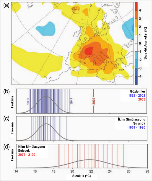 Avrupa’da 2003 yılında görülen ekstrem sıcaklık anamolisi