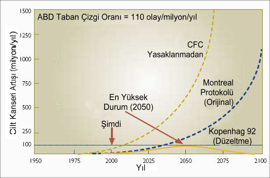 İklim değişikliği senaryolarına bağlı olarak cilt kanseri artış oranları