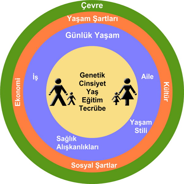 Sağlık ile sosyal, kültürel ve çevre özellikleri arasında ilişki