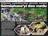 16-KARADENİZDENGÜNEBAKIŞ_20210516_10_1799963037 (308 Kb)