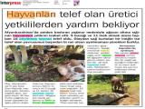 07-KÜTAHYAPOSTASI_20220607_7 (247 Kb)
