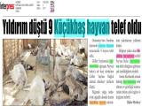 16-AKDENİZ_20220616_4_1824460672 (143 Kb)
