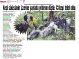 16-GÜMÜŞKOZA_20220616_7_1824477352 (378 Kb)