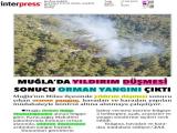 17-MUĞLA HABER_20220617_3_1824548543 (127 Kb)