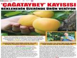 20-MERSİN HAKİMİYET_20220620_1_1824730050 (434 Kb)
