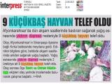 22-TÜRKELİ_20220622_3_1824845290 (84 Kb)