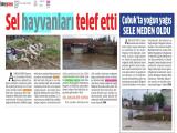 23-ANADOLU_20220623_5_1824917624 (341 Kb)