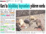 29-ARDAHAN MEDYA_20220629_5_1825269937 (184 Kb)