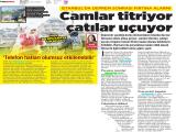 29-MİLLİYET_20250429_13 (456 Kb)