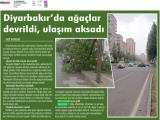 02-ÖZ DİYARBAKIR_20250502_8_1904057076 (300 Kb)