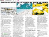 08-GÜNEYDOĞUEKSPRES_20250508_11 (635 Kb)