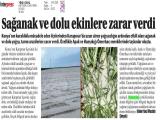 14-YENİ KONYA_20250514_4_1904997210 (189 Kb)