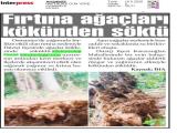 15-AKDENİZ_20250515_5_1905074855 (112 Kb)
