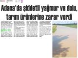 17-NİĞDE GÜNAYDIN_20250517_6_1905246665 (253 Kb)