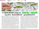 19-ANALİZ_20250519_7_1905375534 (228 Kb)