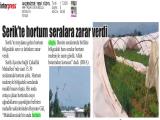 1-AKDENİZ'DE YENİ YÜZYIL_20250701_5_1908465129 (93 Kb)