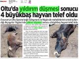 1-MİLLETİN SESİ_20250701_4_1908516545 (311 Kb)