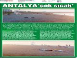22-AKDENİZ MANŞET_20250722_2_1910131096 (194 Kb)