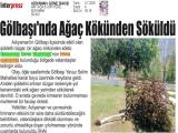 3-ADIYAMAN GÜNE BAKIŞ_20250703_4_1908663094 (127 Kb)