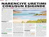 11-ANALİZ_20250811_6_1911633532 (493 Kb)