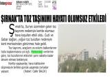 13-ŞIRNAK HABER_20250813_2_1911794322 (93 Kb)