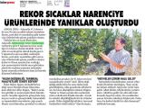 13-MEDYA YENİGÜN_20250813_6_1911789955 (274 Kb)