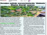 22-AKDENİZ POSTASI_20250822_4_1912478116 (272 Kb)