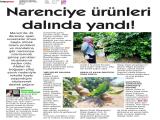 22-HABERCİ MERSİN_20250822_7_1912474955 (396 Kb)