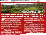 15-KARADENİZDEN GÜNE BAKIŞ_20250915_5_1914246245 (211 Kb)