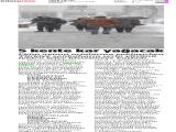 11-YENİ UFUK_20251011_5_1916583739 (272 Kb)