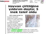 16-GÜNEYDOĞU EKSPRES_20251016_3_1916899385 (62 Kb)